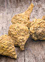 Maca-Extrakt für Libido und Vitalität bei Erexiva Deutschland